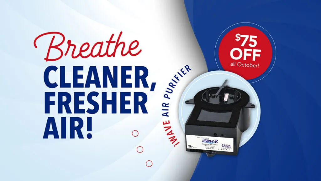 bhc-campaign-sep2021-gmb