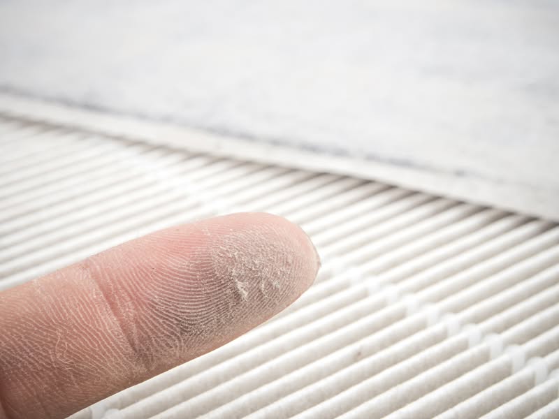 Enjoy Relief From Spring Allergies